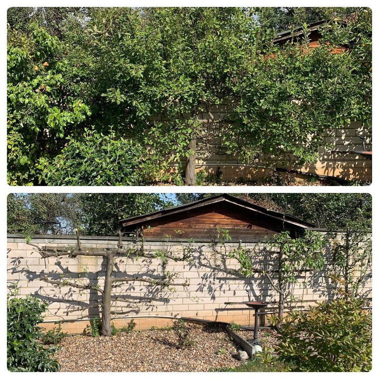 Garten-Detail