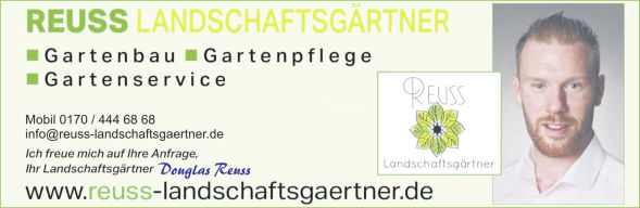 Pflaster-Detail
